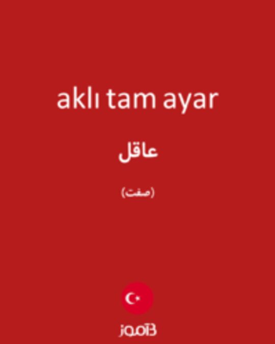  تصویر aklı tam ayar - دیکشنری انگلیسی بیاموز