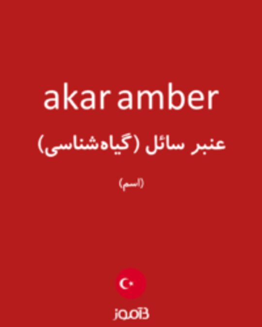  تصویر akar amber - دیکشنری انگلیسی بیاموز