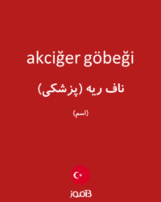  تصویر akciğer göbeği - دیکشنری انگلیسی بیاموز