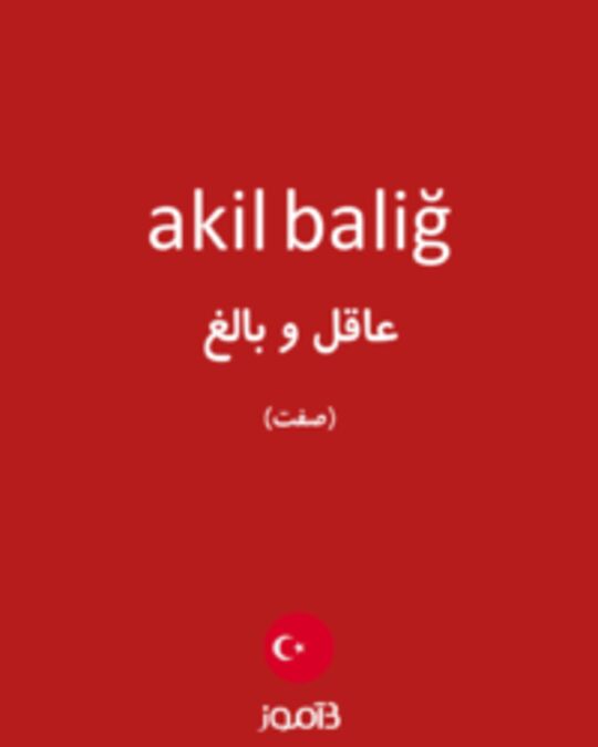  تصویر akil baliğ - دیکشنری انگلیسی بیاموز