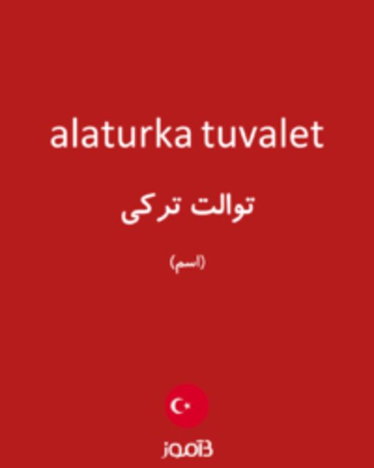  تصویر alaturka tuvalet - دیکشنری انگلیسی بیاموز