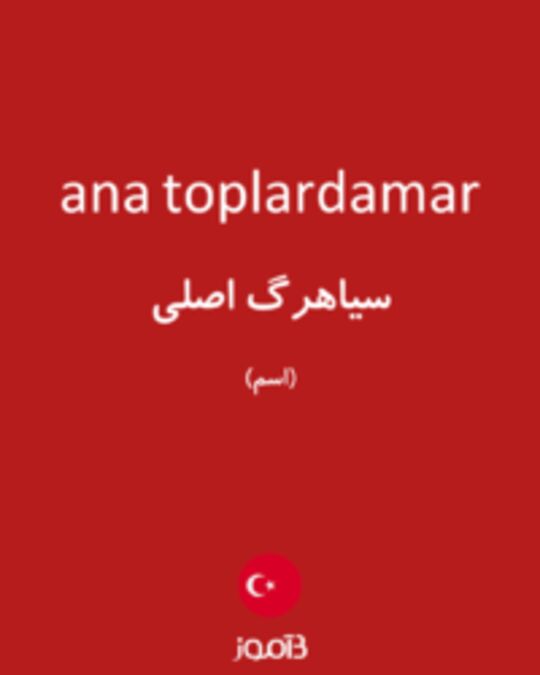  تصویر ana toplardamar - دیکشنری انگلیسی بیاموز