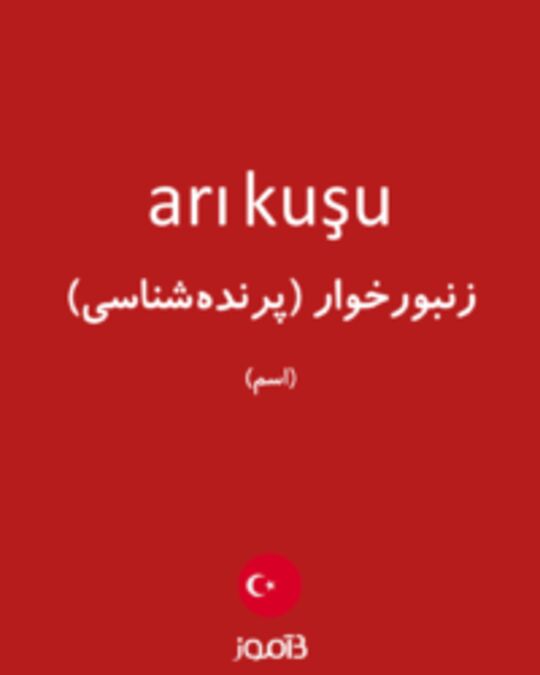  تصویر arı kuşu - دیکشنری انگلیسی بیاموز