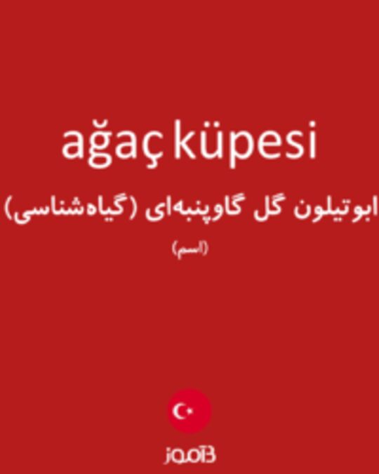  تصویر ağaç küpesi - دیکشنری انگلیسی بیاموز