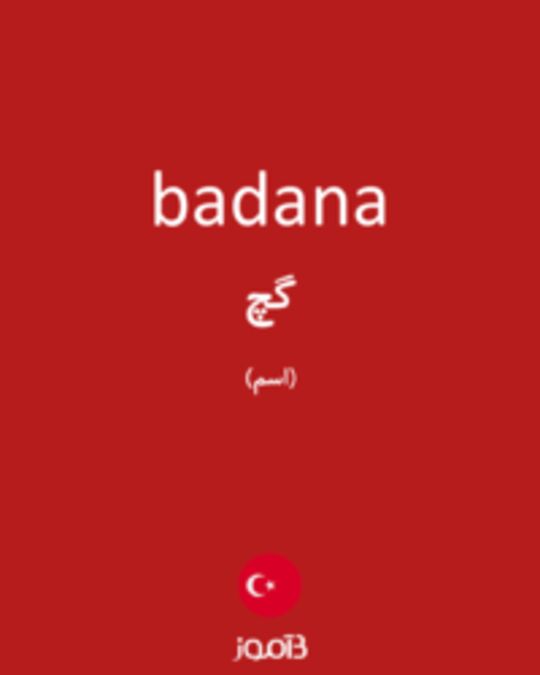  تصویر badana - دیکشنری انگلیسی بیاموز