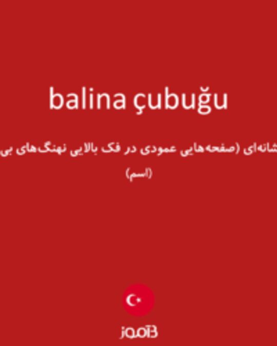  تصویر balina çubuğu - دیکشنری انگلیسی بیاموز