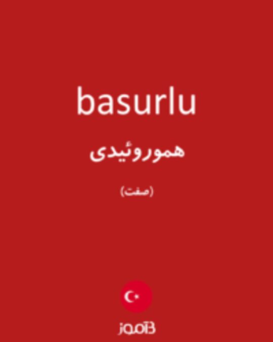  تصویر basurlu - دیکشنری انگلیسی بیاموز