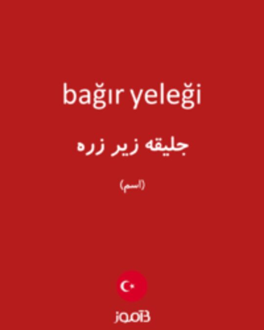  تصویر bağır yeleği - دیکشنری انگلیسی بیاموز