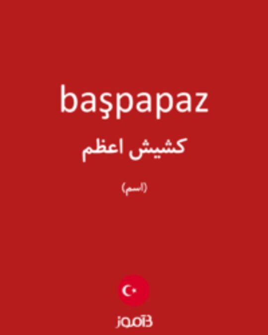  تصویر başpapaz - دیکشنری انگلیسی بیاموز