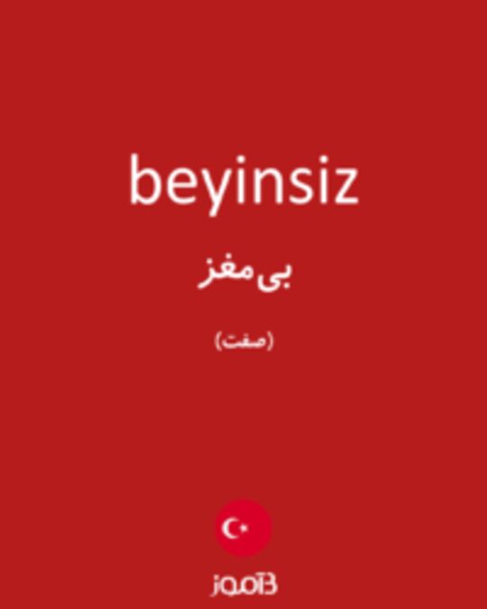  تصویر beyinsiz - دیکشنری انگلیسی بیاموز