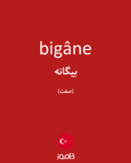  تصویر bigâne - دیکشنری انگلیسی بیاموز