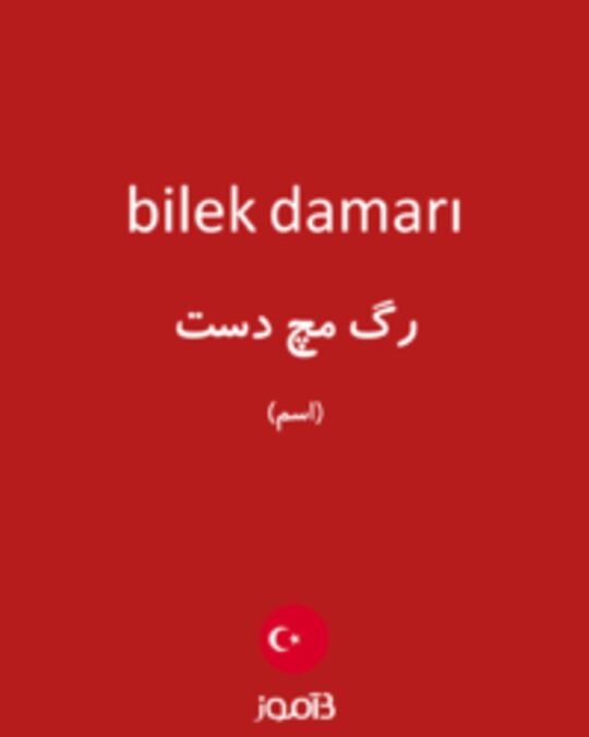  تصویر bilek damarı - دیکشنری انگلیسی بیاموز