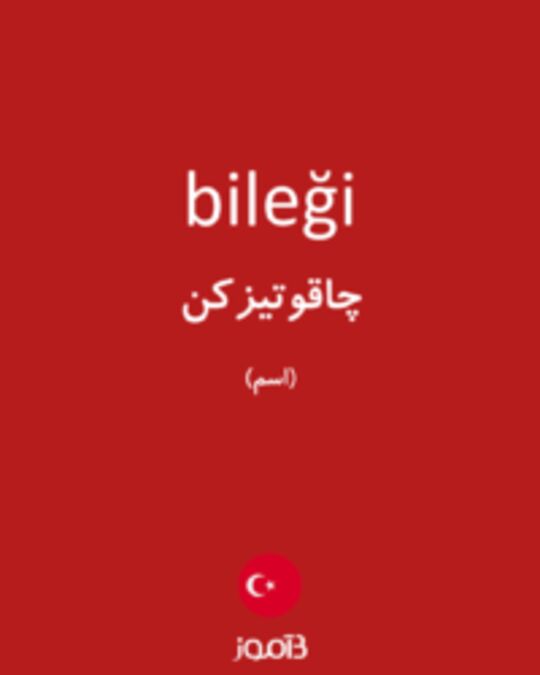  تصویر bileği - دیکشنری انگلیسی بیاموز