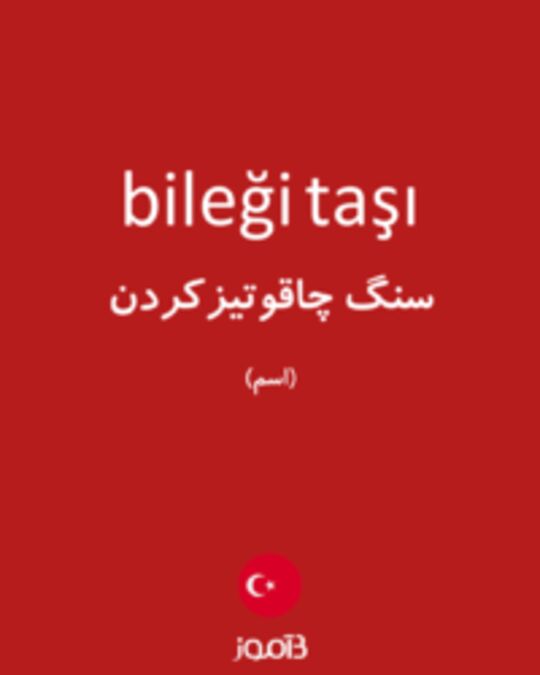  تصویر bileği taşı - دیکشنری انگلیسی بیاموز