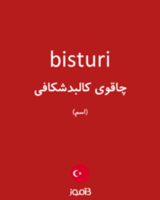  تصویر bisturi - دیکشنری انگلیسی بیاموز