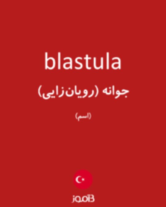  تصویر blastula - دیکشنری انگلیسی بیاموز