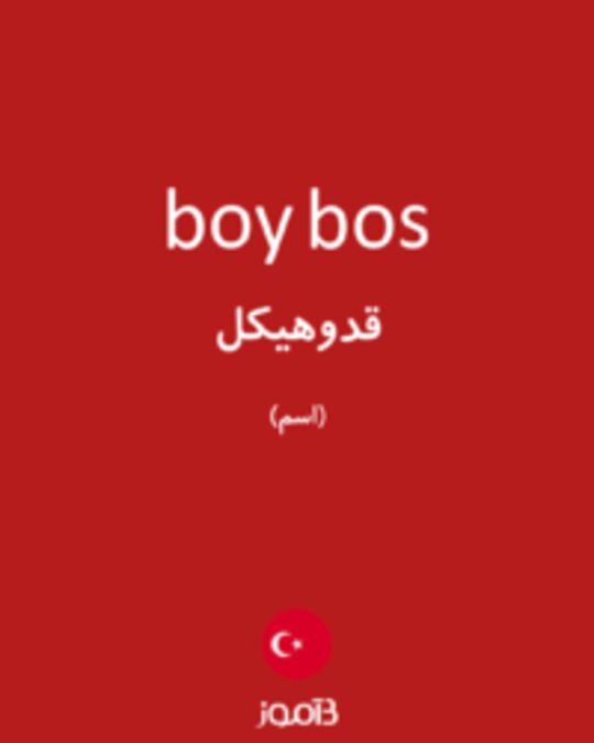  تصویر boy bos - دیکشنری انگلیسی بیاموز