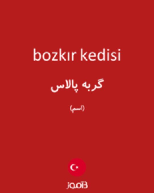  تصویر bozkır kedisi - دیکشنری انگلیسی بیاموز