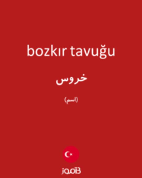  تصویر bozkır tavuğu - دیکشنری انگلیسی بیاموز