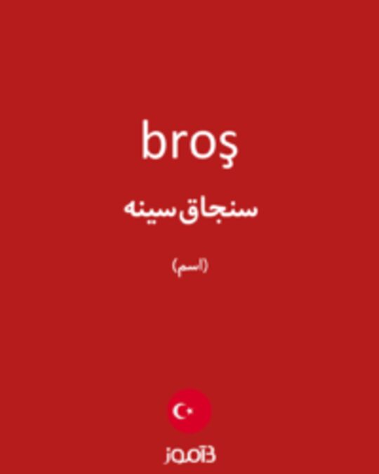  تصویر broş - دیکشنری انگلیسی بیاموز