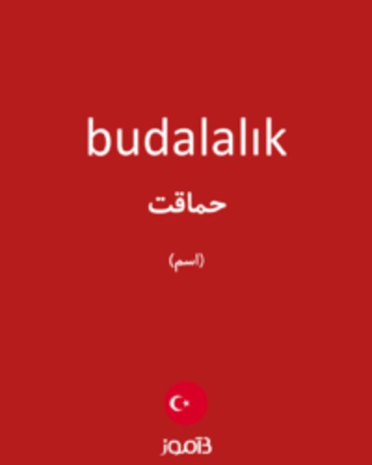  تصویر budalalık - دیکشنری انگلیسی بیاموز