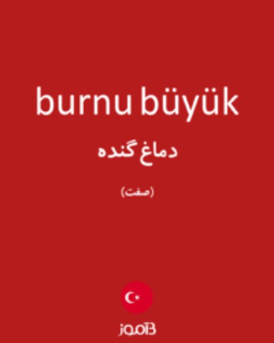  تصویر burnu büyük - دیکشنری انگلیسی بیاموز