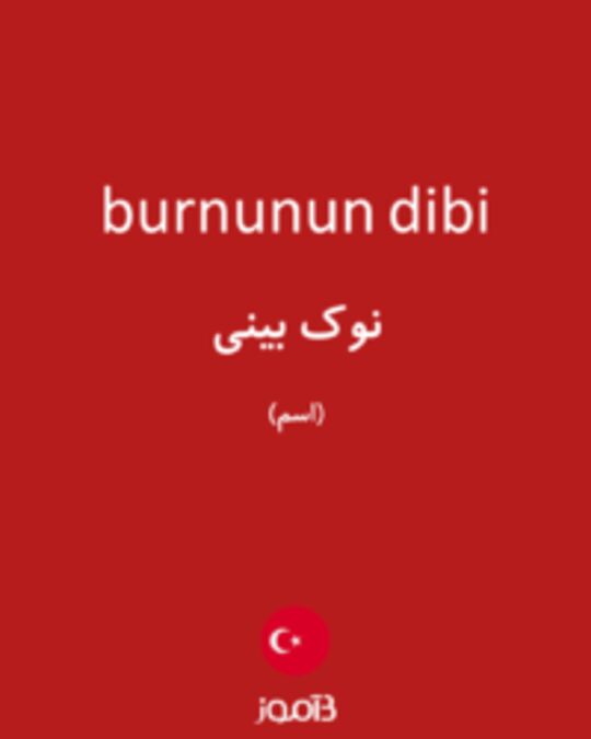  تصویر burnunun dibi - دیکشنری انگلیسی بیاموز