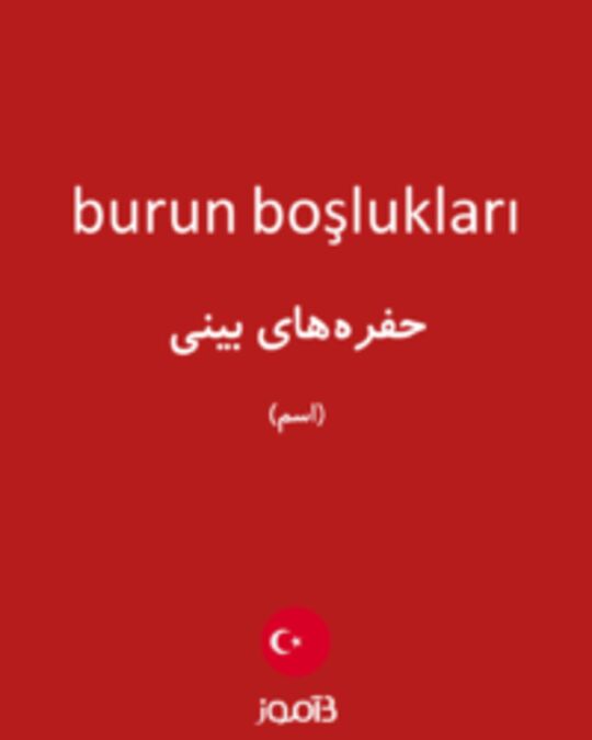  تصویر burun boşlukları - دیکشنری انگلیسی بیاموز