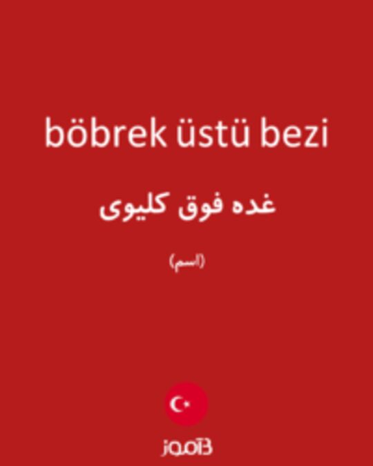  تصویر böbrek üstü bezi - دیکشنری انگلیسی بیاموز