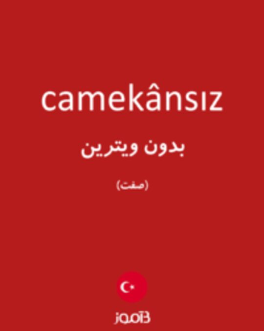  تصویر camekânsız - دیکشنری انگلیسی بیاموز