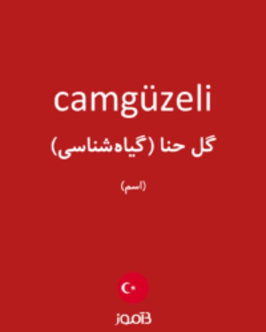  تصویر camgüzeli - دیکشنری انگلیسی بیاموز