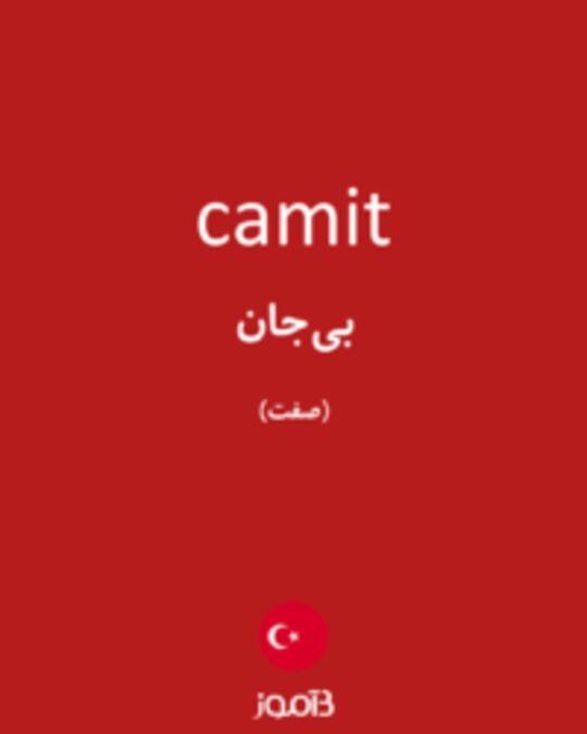  تصویر camit - دیکشنری انگلیسی بیاموز