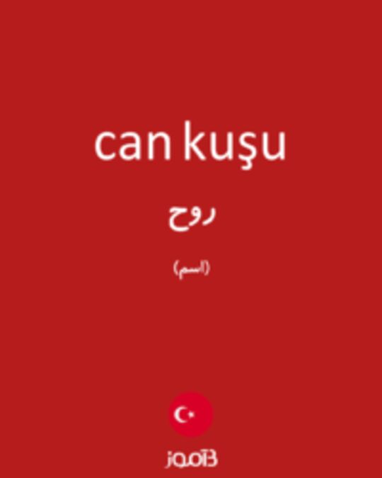  تصویر can kuşu - دیکشنری انگلیسی بیاموز