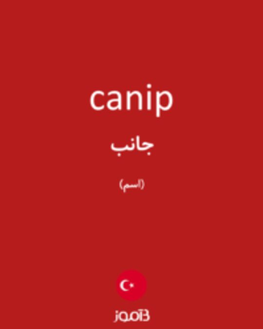  تصویر canip - دیکشنری انگلیسی بیاموز