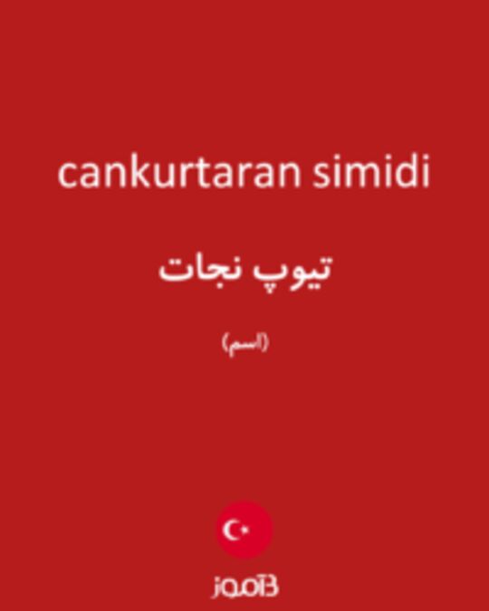  تصویر cankurtaran simidi - دیکشنری انگلیسی بیاموز