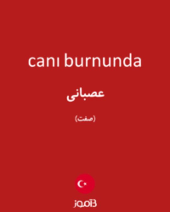  تصویر canı burnunda - دیکشنری انگلیسی بیاموز