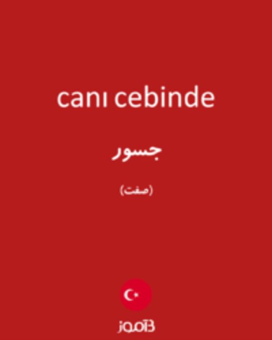  تصویر canı cebinde - دیکشنری انگلیسی بیاموز