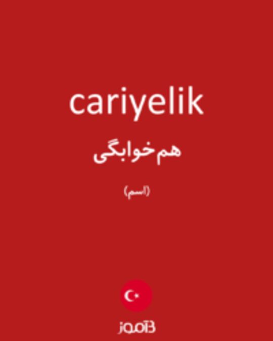  تصویر cariyelik - دیکشنری انگلیسی بیاموز