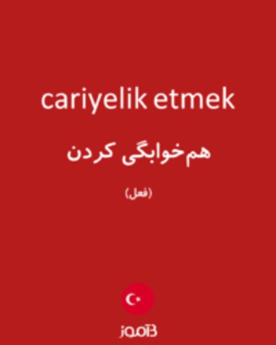  تصویر cariyelik etmek - دیکشنری انگلیسی بیاموز