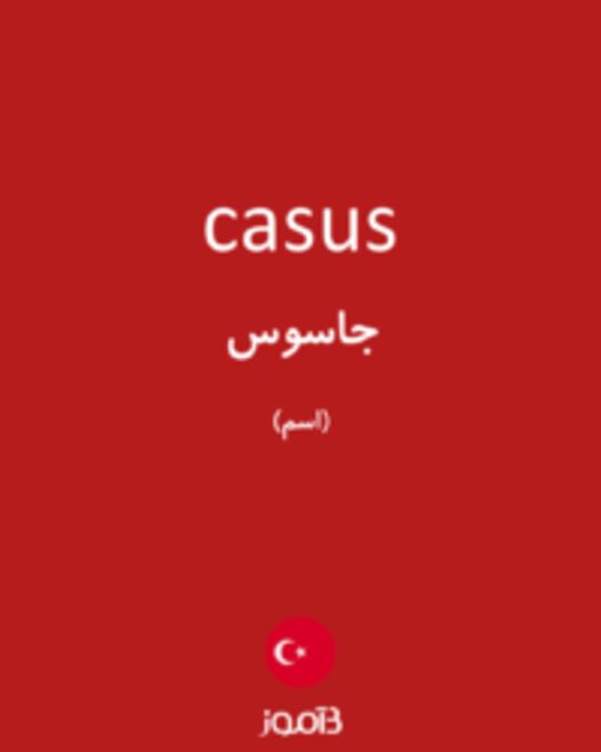  تصویر casus - دیکشنری انگلیسی بیاموز