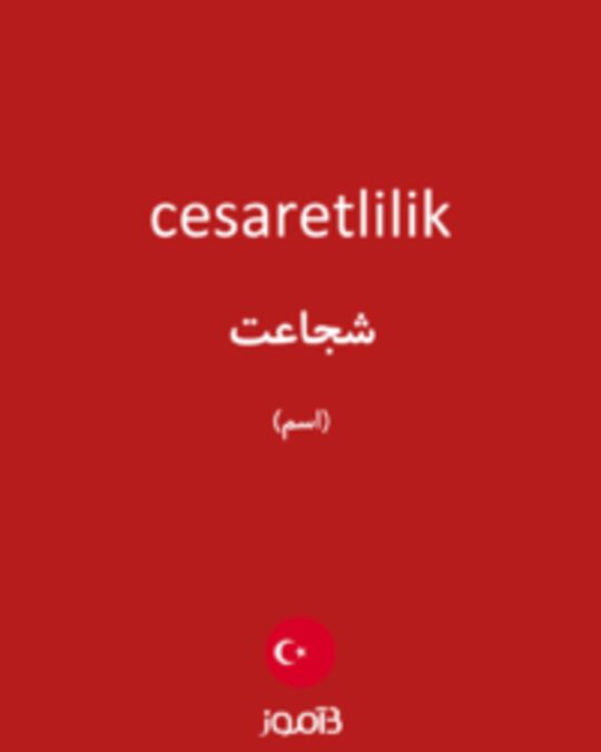  تصویر cesaretlilik - دیکشنری انگلیسی بیاموز