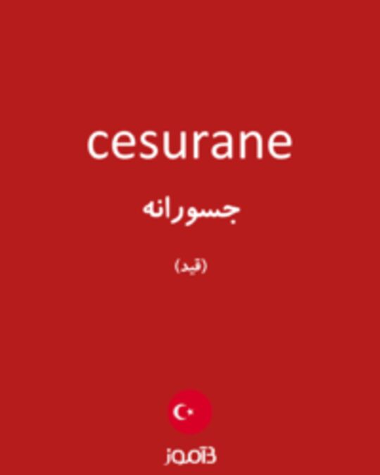  تصویر cesurane - دیکشنری انگلیسی بیاموز