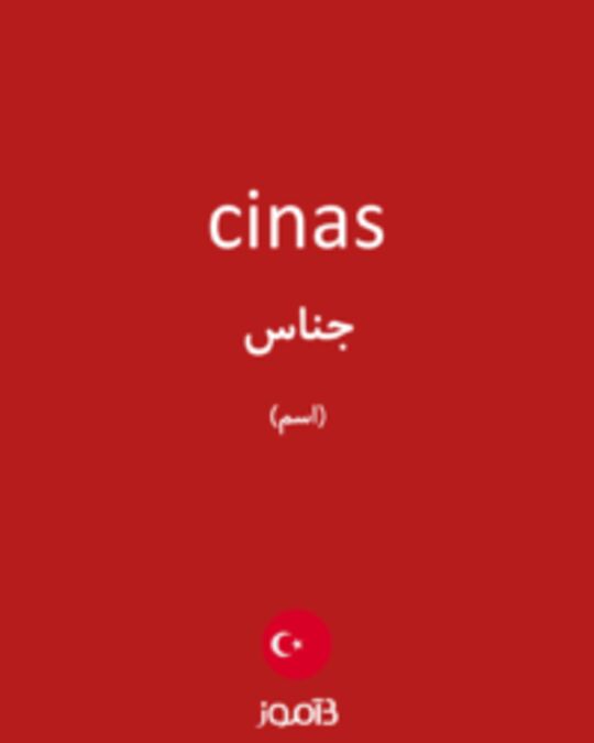  تصویر cinas - دیکشنری انگلیسی بیاموز