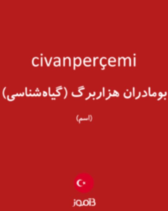  تصویر civanperçemi - دیکشنری انگلیسی بیاموز