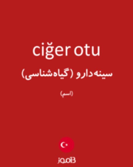  تصویر ciğer otu - دیکشنری انگلیسی بیاموز