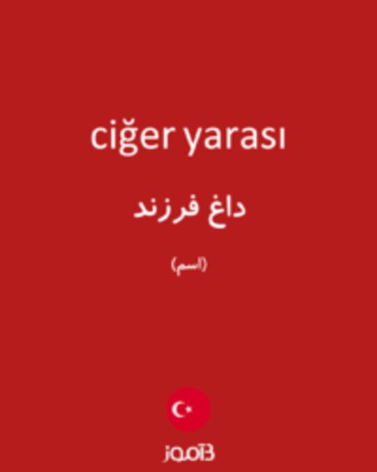  تصویر ciğer yarası - دیکشنری انگلیسی بیاموز