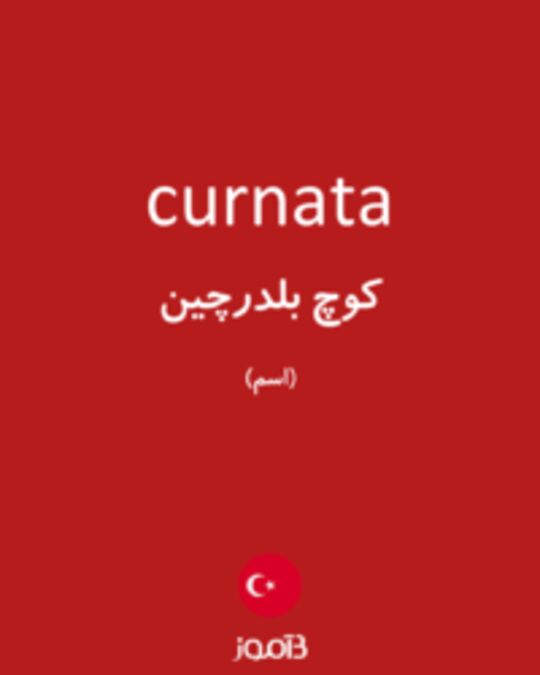  تصویر curnata - دیکشنری انگلیسی بیاموز