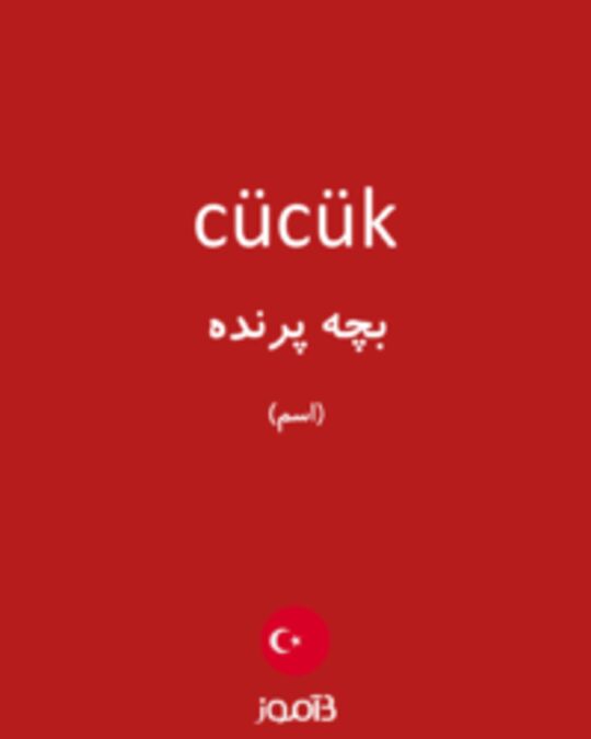  تصویر cücük - دیکشنری انگلیسی بیاموز