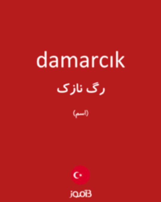  تصویر damarcık - دیکشنری انگلیسی بیاموز