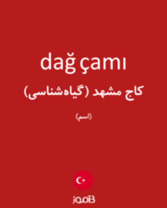  تصویر dağ çamı - دیکشنری انگلیسی بیاموز